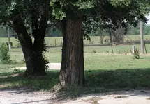 PICT0008.webp
