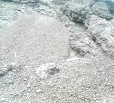 06242011-03.webp