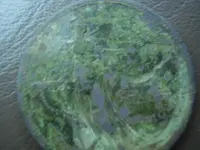 coin 003.webp