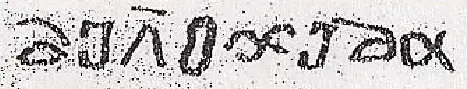 Extracto_...webp