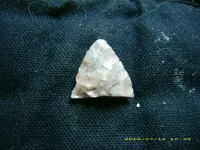 DSCI0251.webp