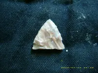 DSCI0252.webp