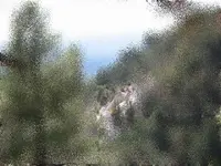 bull.webp