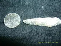 DSCI0233.webp