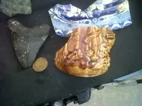 IMG00122-20110612-2011.webp