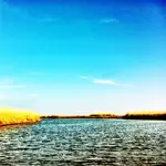 bay2.webp
