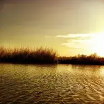 bay3.webp