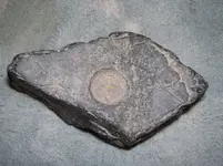 Rock (1).webp