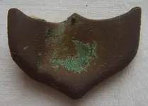 DSCN02090002.webp