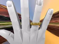 goldring3.webp