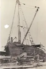 The Salvor.webp