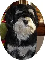 Lilly June 4.webp