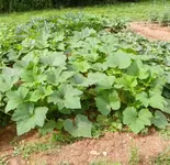 100_0912.webp