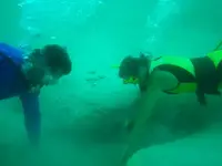 Bart & Yvonne digging.webp