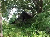 Old barn.webp