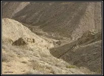 004.webp