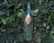 Royal Crown Cola.webp