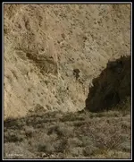 007.webp