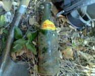Squirt.webp