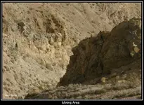 0010.webp