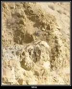 Mine 01.webp