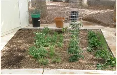 micro garden.webp