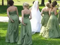 Copy of funny-itching-dress.webp