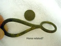 horsetack1.webp