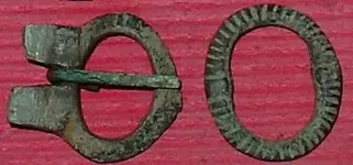Buckles.webp