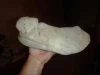 bigfoot2.webp