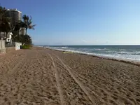 beach hunting.webp