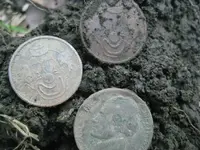 6-3-11 Finds 010.webp