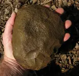 slab 006.webp