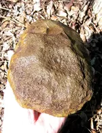 slab 007.webp