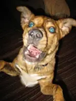 heather 093.webp