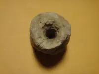 Indian bead.webp