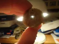 indian bead 4.webp