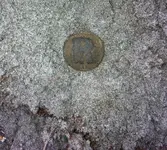 R Button FFG.webp
