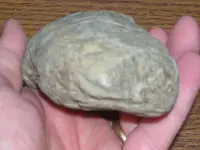 DSCN1853.webp