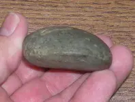 DSCN1856.webp