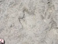 023.webp
