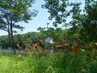 013.webp