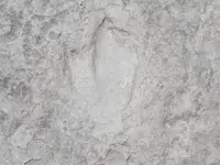016.webp