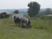 Traveling The Heartland 051.webp