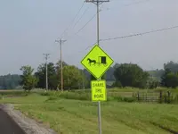 Traveling The Heartland 094.webp