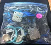 earrings bag.webp