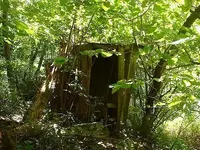 Picture 001.webp