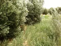 03082011233.webp