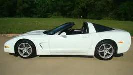 VET COUPE.webp