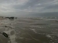 Port Aransas#1.webp